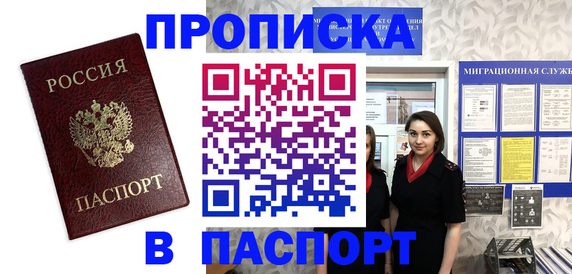 прописка 2025 в Оленегорске